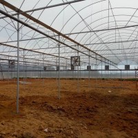 簡(jiǎn)易連棟大棚 蔬菜溫室大棚 花卉育苗溫室大棚外遮陽(yáng)薄膜連體大棚